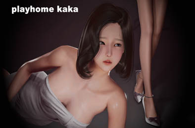 家族崩坏 / Playhome  终极收藏版